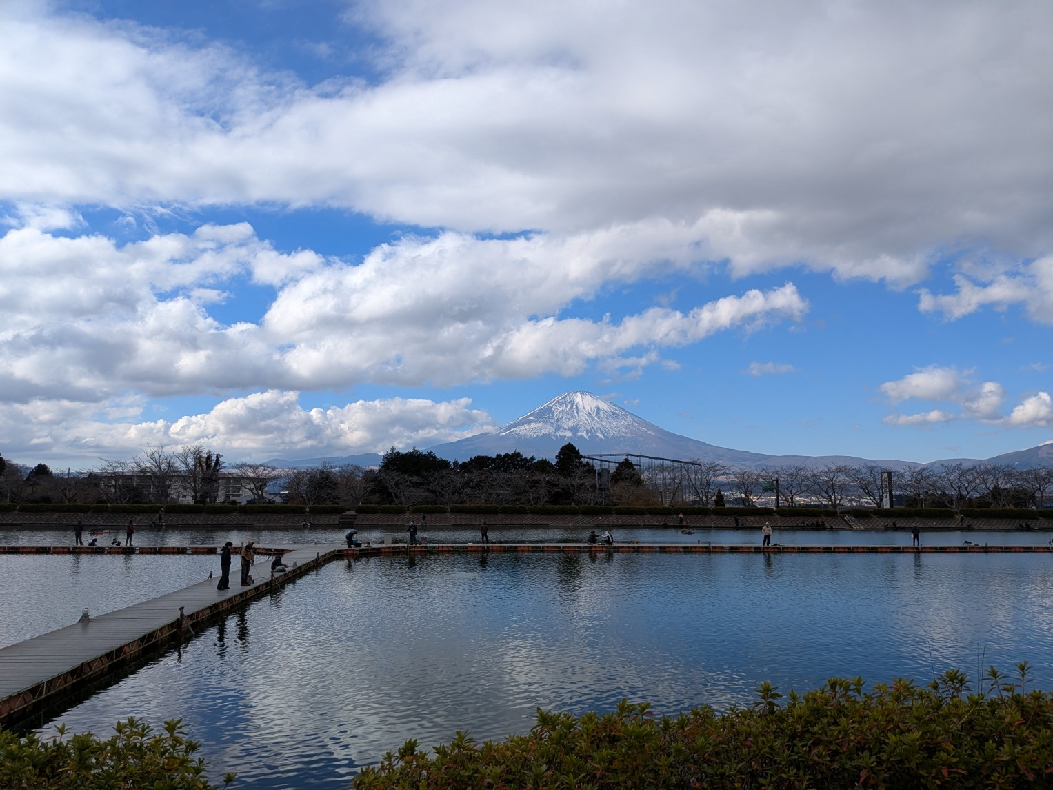 富士の介に挑戦